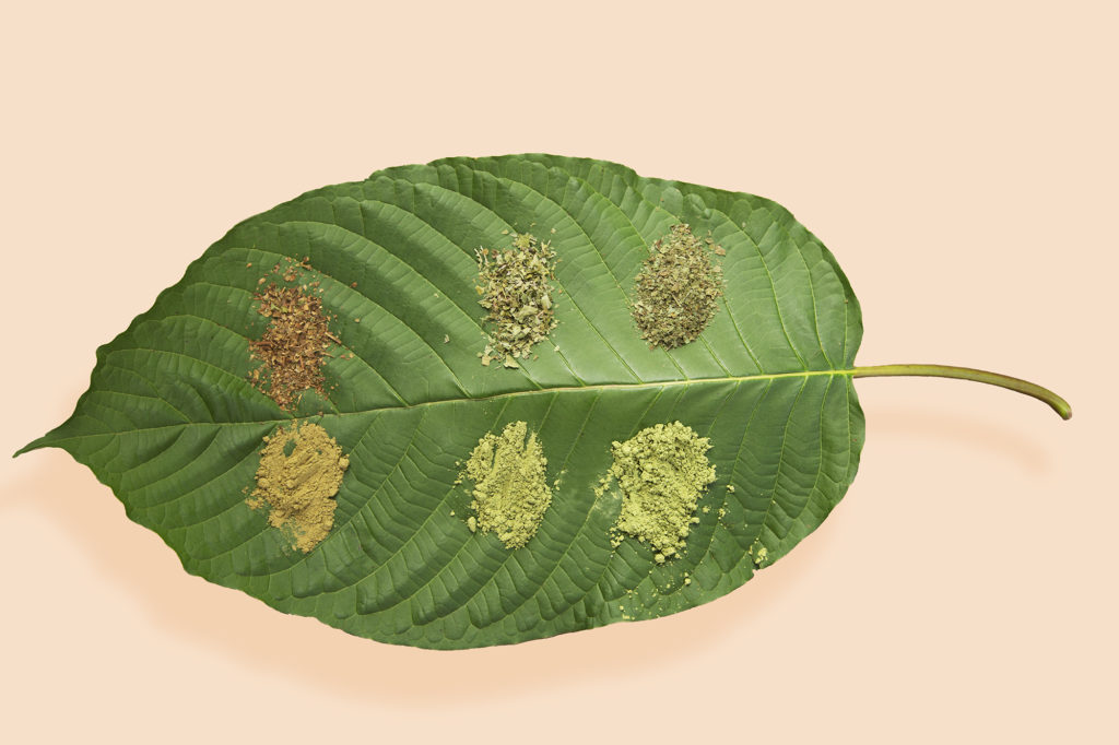 Kratom Varieties