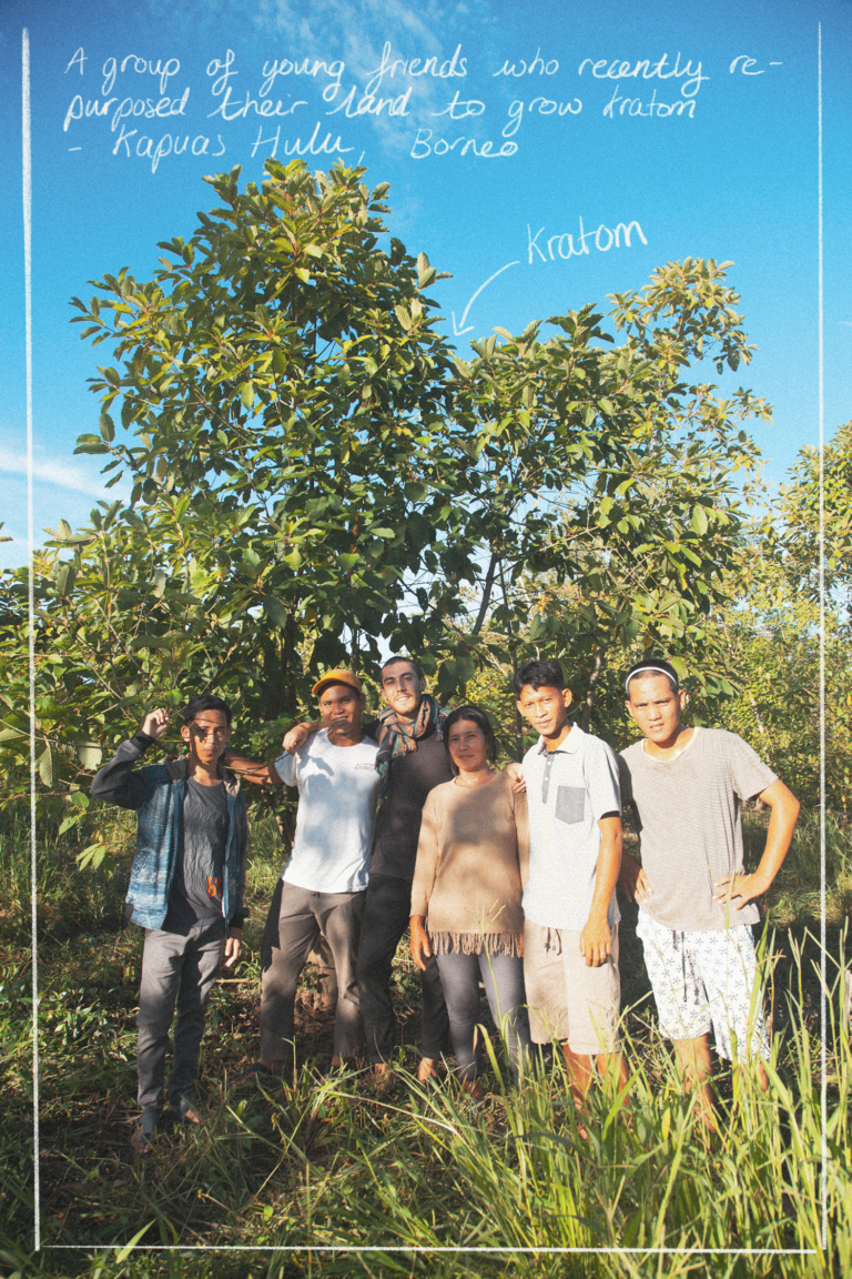 Young Farmers in Kapuas Hulu